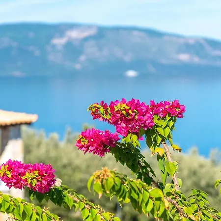 Thea 1 Hour And 50 Minutes To Athens Airport Arkitsa